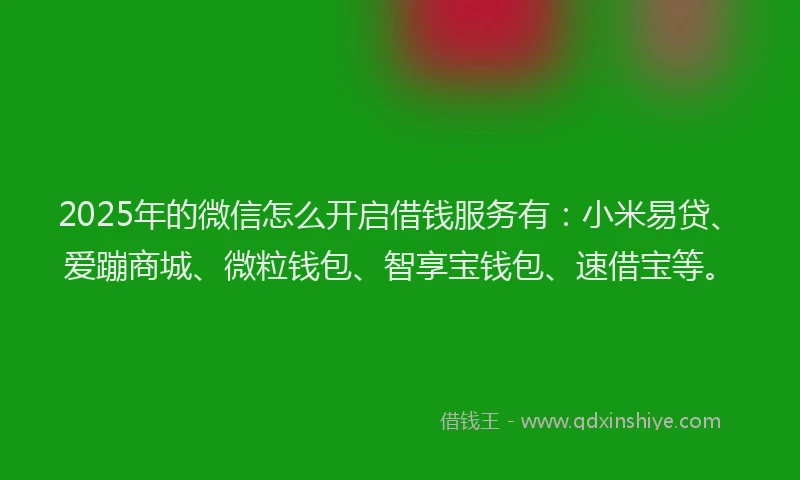 2025年的微信怎么开启借钱服务有：小米易贷、爱蹦商城、微粒钱包、智享宝钱包、速借宝等。