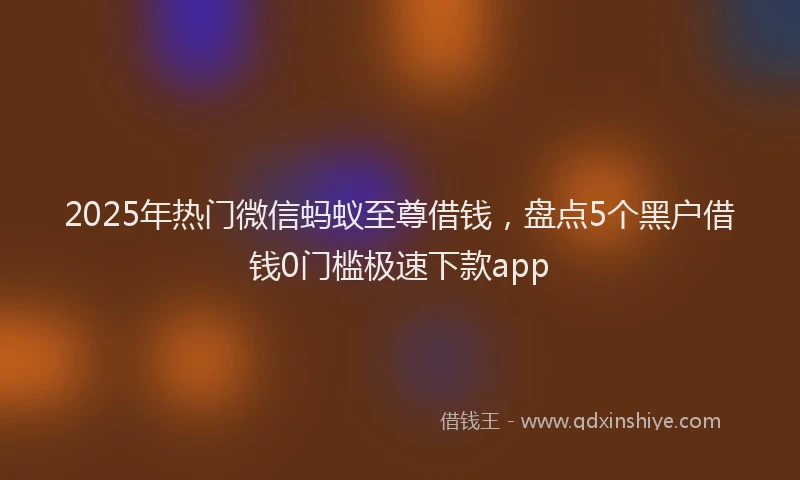 2025年热门微信蚂蚁至尊借钱，盘点5个黑户借钱0门槛极速下款app