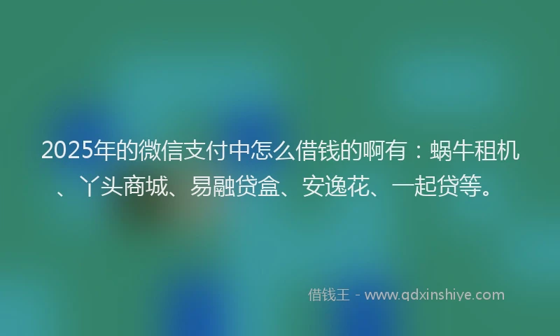 2025年的微信支付中怎么借钱的啊有：蜗牛租机、丫头商城、易融贷盒、安逸花、一起贷等。