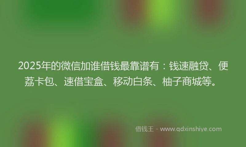 2025年的微信加谁借钱最靠谱有：钱速融贷、便荔卡包、速借宝盒、移动白条、柚子商城等。