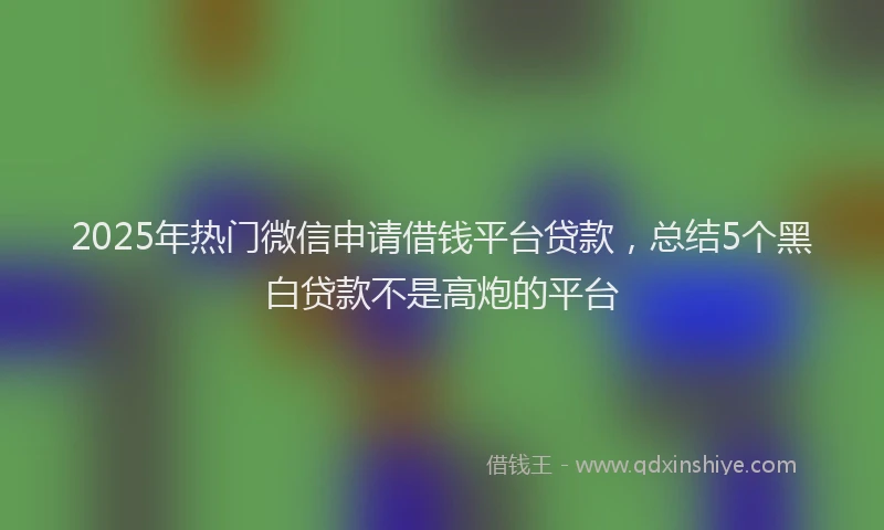 2025年热门微信申请借钱平台贷款，总结5个黑白贷款不是高炮的平台