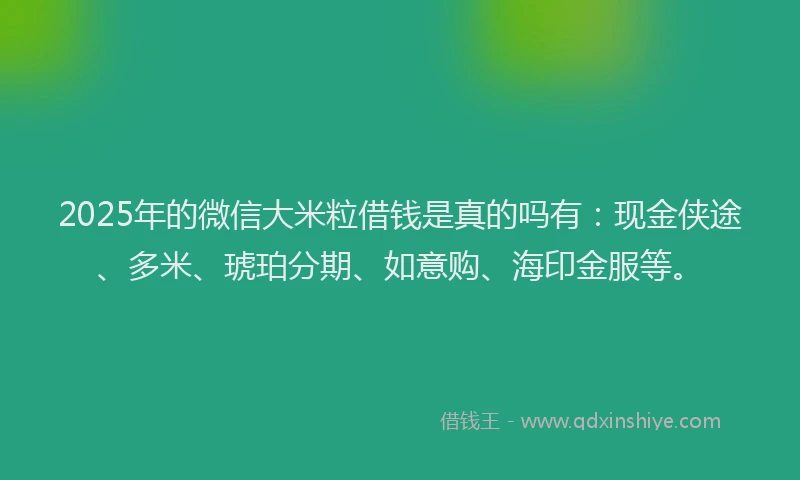 2025年的微信大米粒借钱是真的吗有：现金侠途、多米、琥珀分期、如意购、海印金服等。