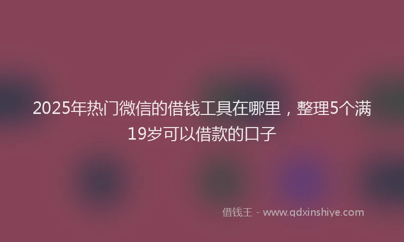 2025年热门微信的借钱工具在哪里，整理5个满19岁可以借款的口子