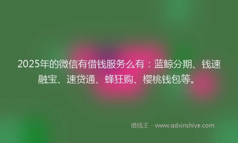 2025年的微信有借钱服务么有：蓝鲸分期、钱速融宝、速贷通、蜂狂购、樱桃钱包等。