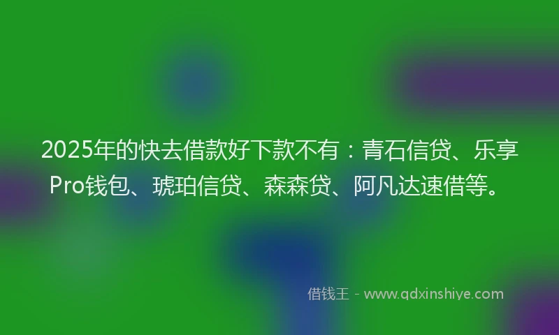 2025年的快去借款好下款不有：青石信贷、乐享Pro钱包、琥珀信贷、森森贷、阿凡达速借等。