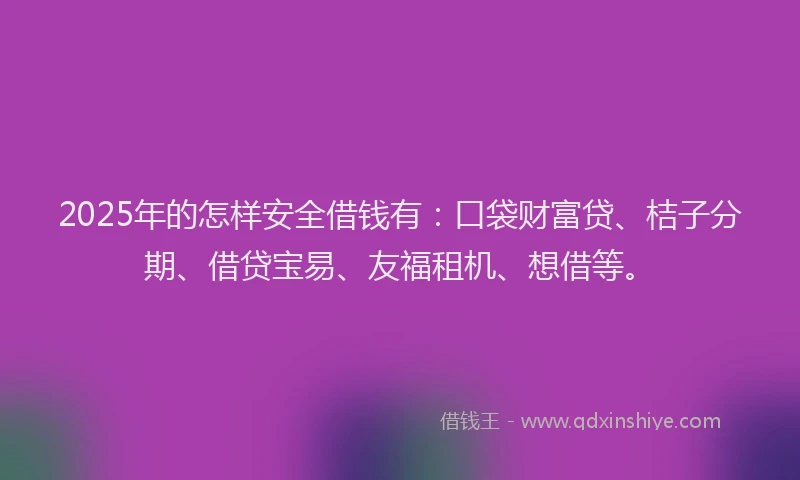 2025年的怎样安全借钱有：口袋财富贷、桔子分期、借贷宝易、友福租机、想借等。
