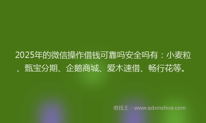 2025年的微信操作借钱可靠吗安全吗有：小麦粒、甄宝分期、企鹅商城、爱木速借、畅行花等。