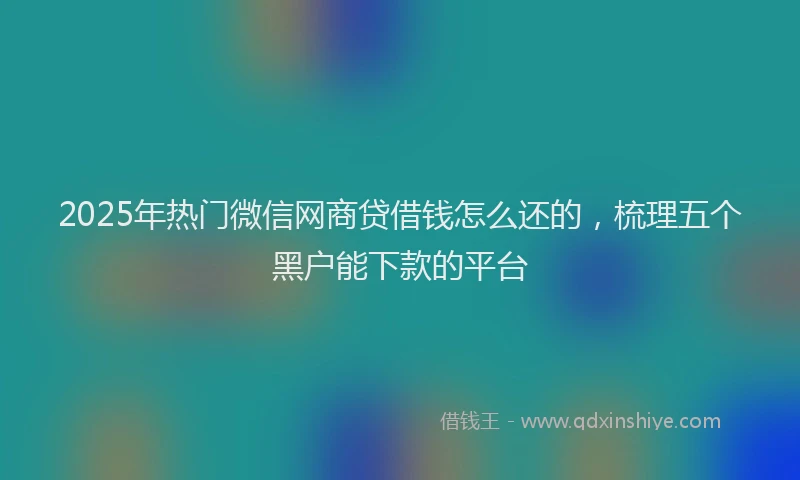 2025年热门微信网商贷借钱怎么还的，梳理五个黑户能下款的平台