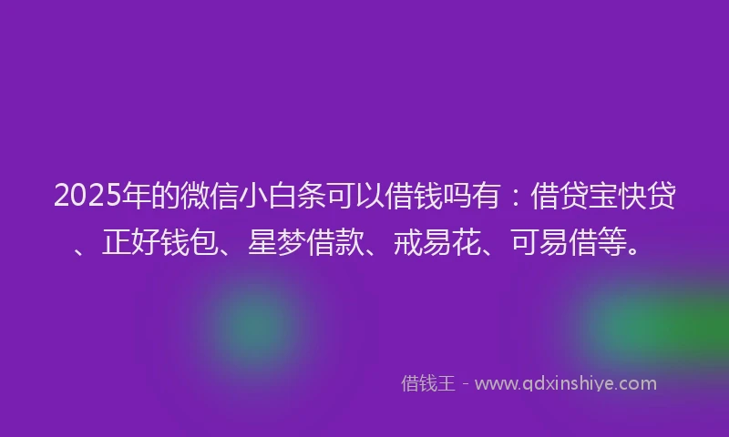 2025年的微信小白条可以借钱吗有：借贷宝快贷、正好钱包、星梦借款、戒易花、可易借等。
