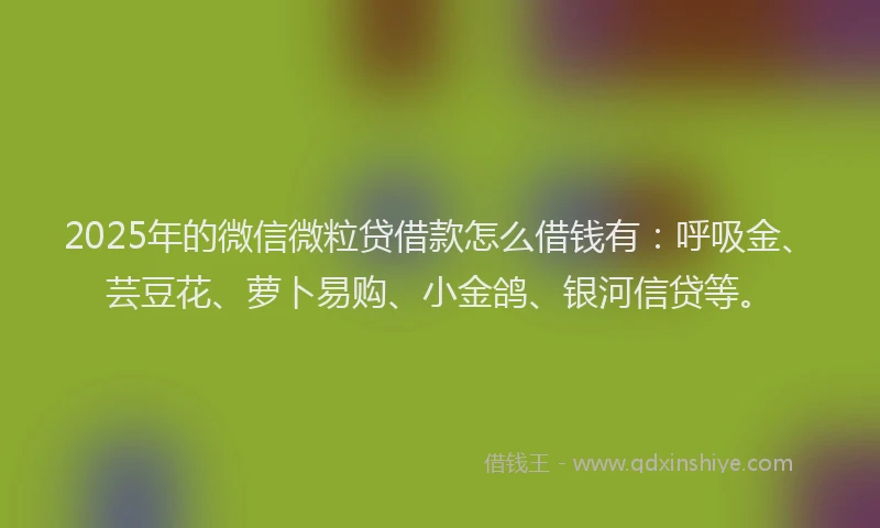 2025年的微信微粒贷借款怎么借钱有：呼吸金、芸豆花、萝卜易购、小金鸽、银河信贷等。
