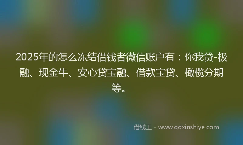 2025年的怎么冻结借钱者微信账户有：你我贷-极融、现金牛、安心贷宝融、借款宝贷、橄榄分期等。