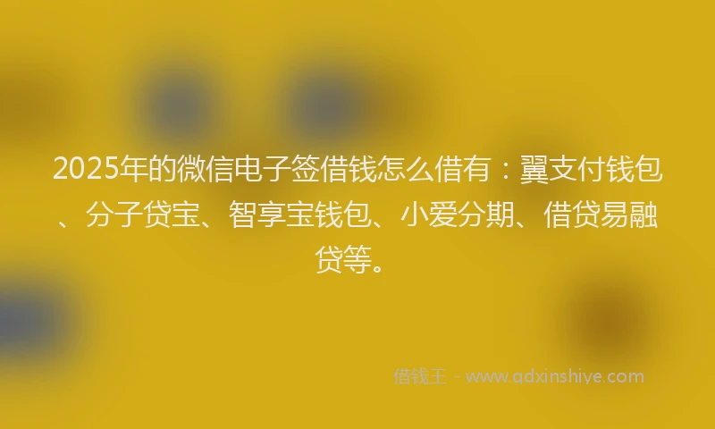 2025年的微信电子签借钱怎么借有：翼支付钱包、分子贷宝、智享宝钱包、小爱分期、借贷易融贷等。