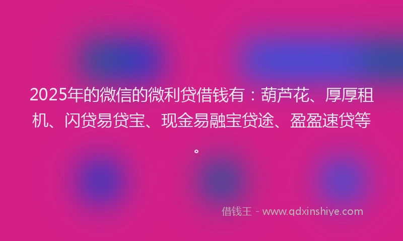 2025年的微信的微利贷借钱有：葫芦花、厚厚租机、闪贷易贷宝、现金易融宝贷途、盈盈速贷等。