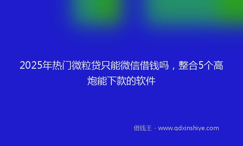 2025年热门微粒贷只能微信借钱吗，整合5个高炮能下款的软件