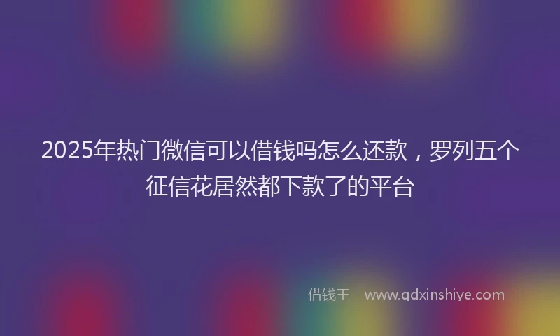 2025年热门微信可以借钱吗怎么还款，罗列五个征信花居然都下款了的平台