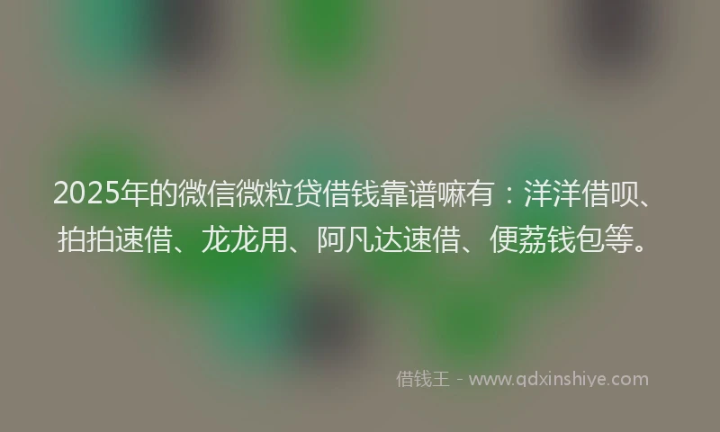 2025年的微信微粒贷借钱靠谱嘛有：洋洋借呗、拍拍速借、龙龙用、阿凡达速借、便荔钱包等。