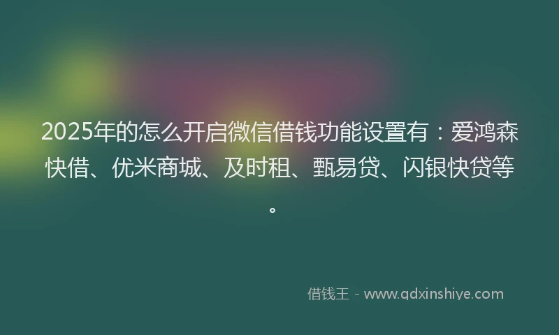 2025年的怎么开启微信借钱功能设置有：爱鸿森快借、优米商城、及时租、甄易贷、闪银快贷等。
