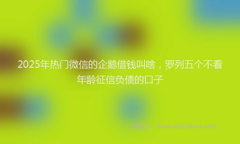 2025年热门微信的企鹅借钱叫啥，罗列五个不看年龄征信负债的口子