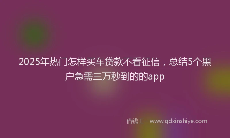 2025年热门怎样买车贷款不看征信，总结5个黑户急需三万秒到的的app