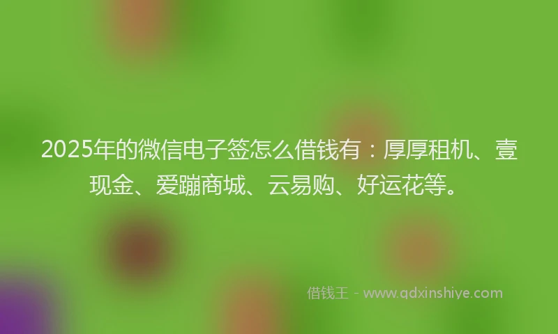 2025年的微信电子签怎么借钱有：厚厚租机、壹现金、爱蹦商城、云易购、好运花等。