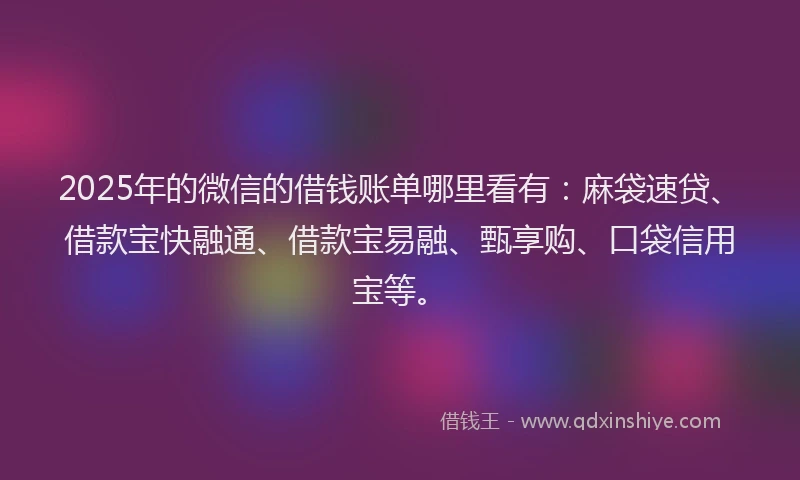 2025年的微信的借钱账单哪里看有：麻袋速贷、借款宝快融通、借款宝易融、甄享购、口袋信用宝等。