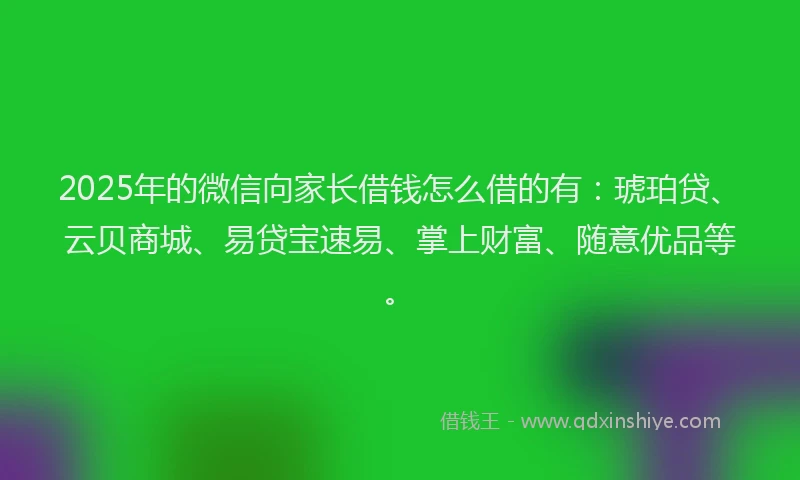 2025年的微信向家长借钱怎么借的有：琥珀贷、云贝商城、易贷宝速易、掌上财富、随意优品等。