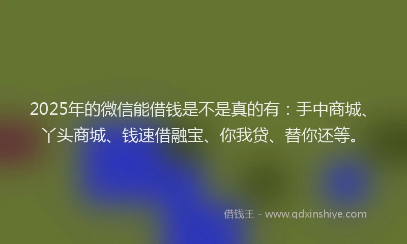 2025年的微信能借钱是不是真的有：手中商城、丫头商城、钱速借融宝、你我贷、替你还等。