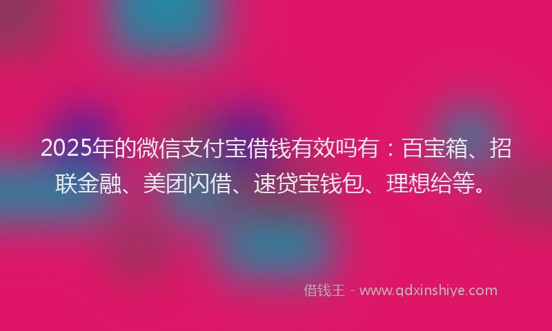 2025年的微信支付宝借钱有效吗有：百宝箱、招联金融、美团闪借、速贷宝钱包、理想给等。