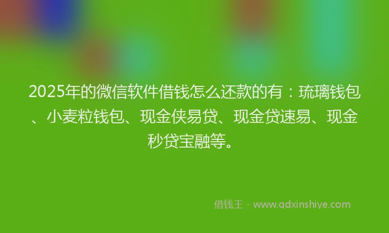 2025年的微信软件借钱怎么还款的有：琉璃钱包、小麦粒钱包、现金侠易贷、现金贷速易、现金秒贷宝融等。