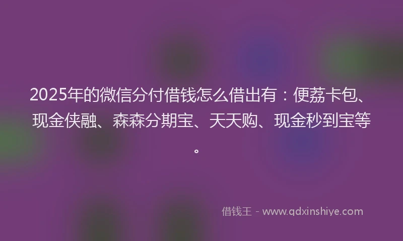 2025年的微信分付借钱怎么借出有：便荔卡包、现金侠融、森森分期宝、天天购、现金秒到宝等。