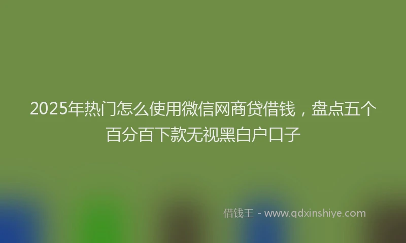 2025年热门怎么使用微信网商贷借钱，盘点五个百分百下款无视黑白户口子