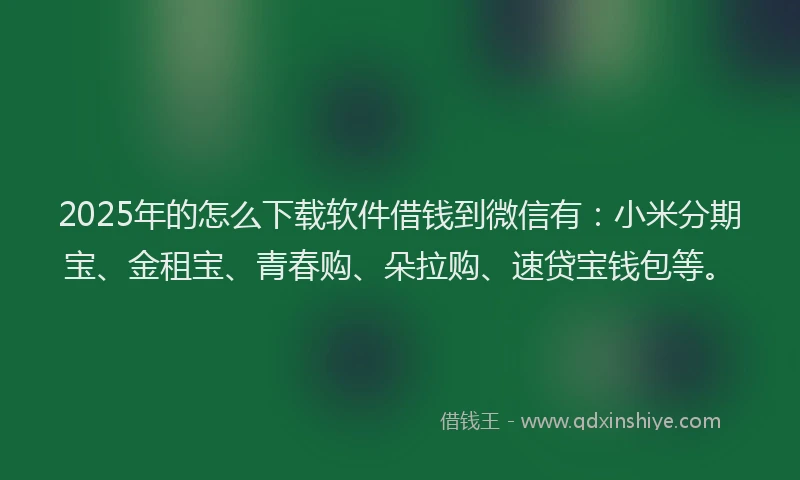 2025年的怎么下载软件借钱到微信有：小米分期宝、金租宝、青春购、朵拉购、速贷宝钱包等。
