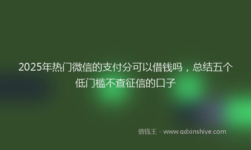 2025年热门微信的支付分可以借钱吗,总结五个低门槛不查征信的口子