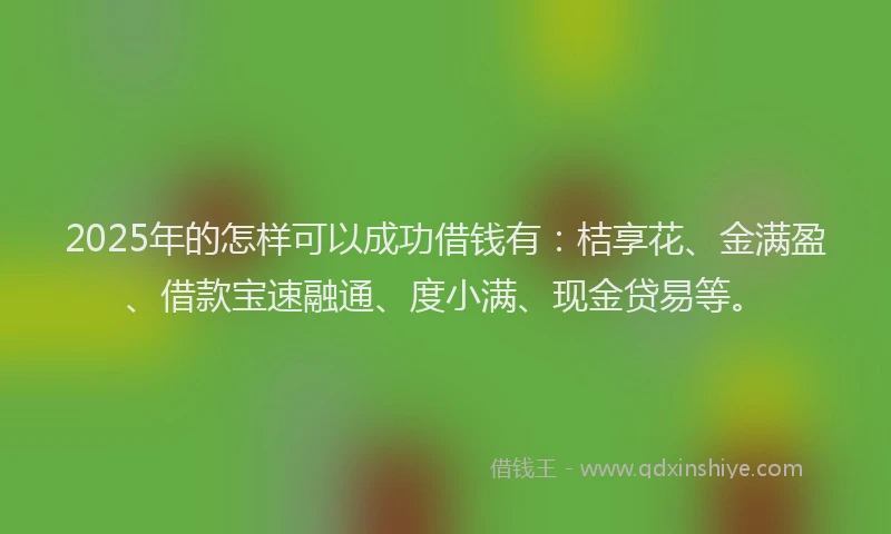 2025年的怎样可以成功借钱有：桔享花、金满盈、借款宝速融通、度小满、现金贷易等。