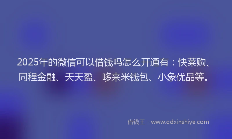 2025年的微信可以借钱吗怎么开通有：快莱购、同程金融、天天盈、哆来米钱包、小象优品等。