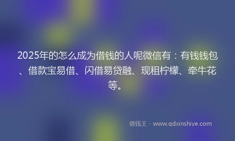 2025年的怎么成为借钱的人呢微信有：有钱钱包、借款宝易借、闪借易贷融、现租柠檬、牵牛花等。