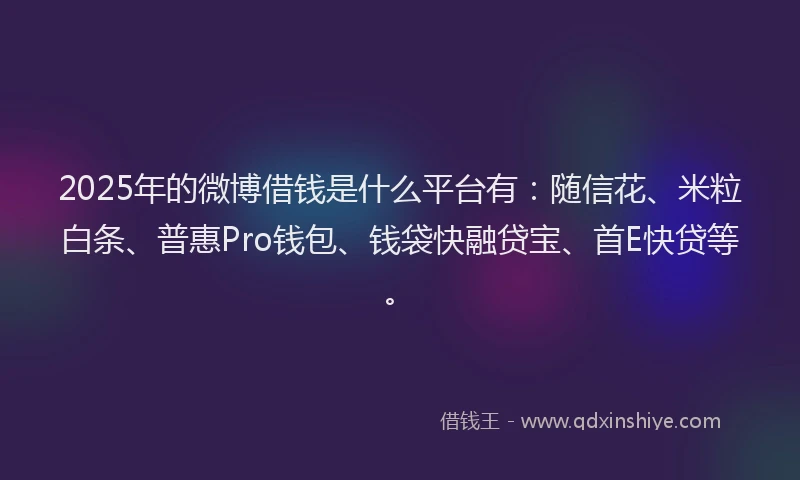 2025年的微博借钱是什么平台有：随信花、米粒白条、普惠Pro钱包、钱袋快融贷宝、首E快贷等。