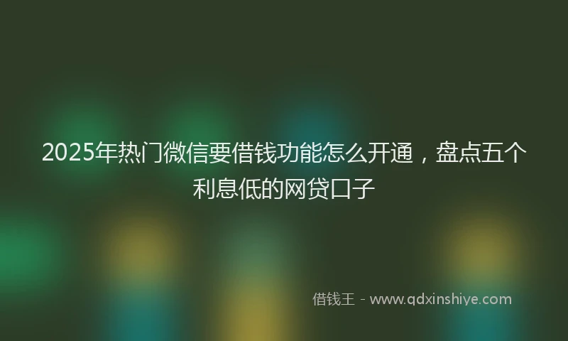 2025年热门微信要借钱功能怎么开通，盘点五个利息低的网贷口子