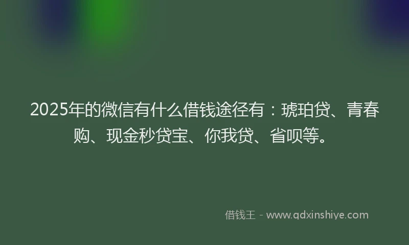 2025年的微信有什么借钱途径有：琥珀贷、青春购、现金秒贷宝、你我贷、省呗等。