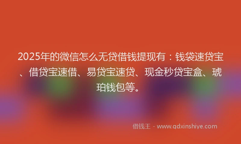 2025年的微信怎么无贷借钱提现有：钱袋速贷宝、借贷宝速借、易贷宝速贷、现金秒贷宝盒、琥珀钱包等。