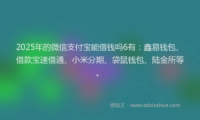 2025年的微信支付宝能借钱吗6有：鑫易钱包、借款宝速借通、小米分期、袋鼠钱包、陆金所等。