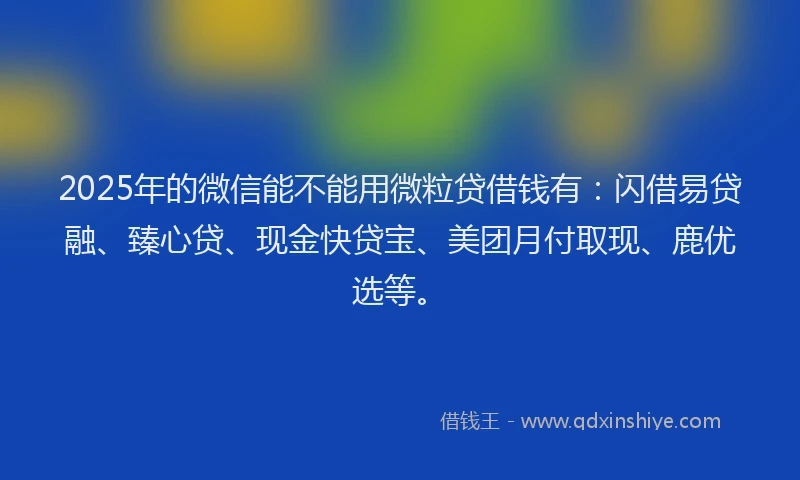 2025年的微信能不能用微粒贷借钱有：闪借易贷融、臻心贷、现金快贷宝、美团月付取现、鹿优选等。