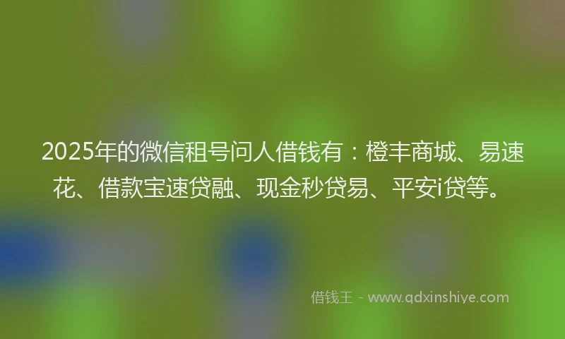 2025年的微信租号问人借钱有：橙丰商城、易速花、借款宝速贷融、现金秒贷易、平安i贷等。