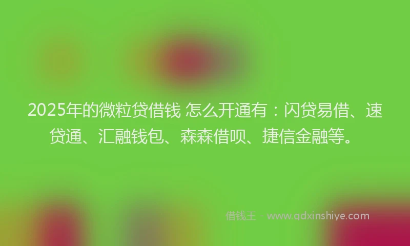 2025年的微粒贷借钱 怎么开通有：闪贷易借、速贷通、汇融钱包、森森借呗、捷信金融等。