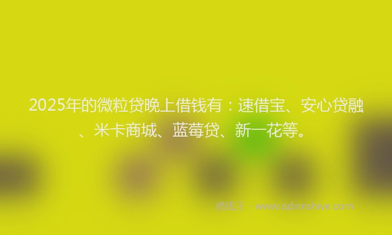 2025年的微粒贷晚上借钱有：速借宝、安心贷融、米卡商城、蓝莓贷、新一花等。