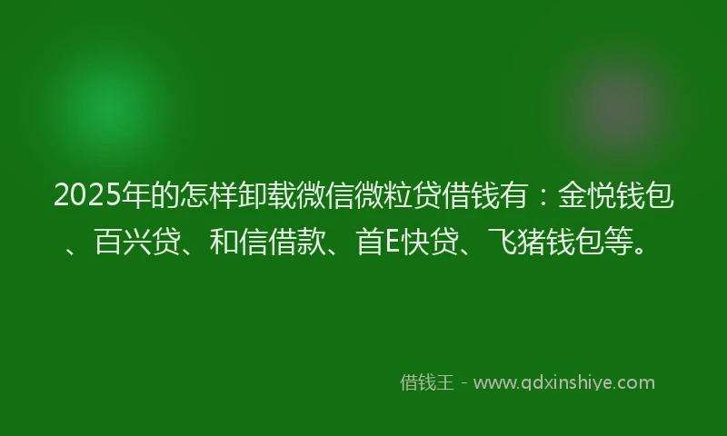 2025年的怎样卸载微信微粒贷借钱有：金悦钱包、百兴贷、和信借款、首E快贷、飞猪钱包等。