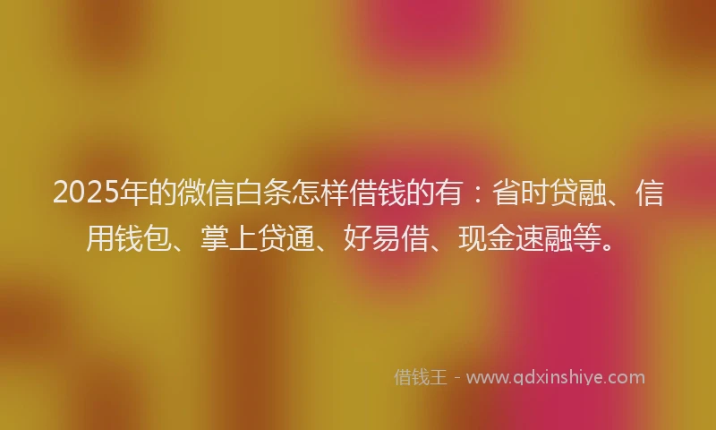 2025年的微信白条怎样借钱的有：省时贷融、信用钱包、掌上贷通、好易借、现金速融等。