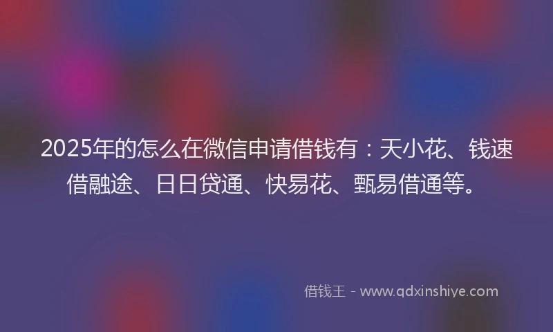 2025年的怎么在微信申请借钱有：天小花、钱速借融途、日日贷通、快易花、甄易借通等。