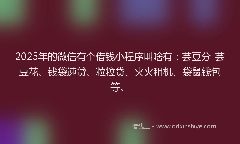 2025年的微信有个借钱小程序叫啥有：芸豆分-芸豆花、钱袋速贷、粒粒贷、火火租机、袋鼠钱包等。