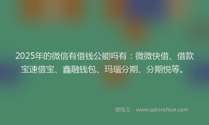 2025年的微信有借钱公能吗有：微微快借、借款宝速借宝、鑫融钱包、玛瑙分期、分期悦等。